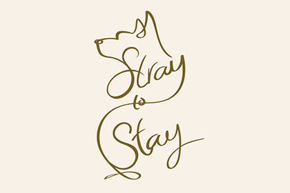 Stray to Stay