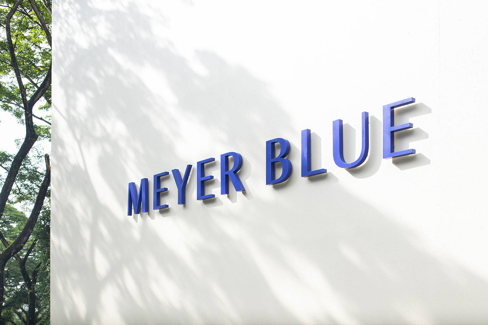 Meyer Blue